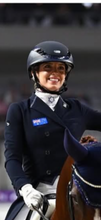 HHD Dressage Plastron Stock Tie ‘Serena’ in Rose Gold with Swarovski Crystals
