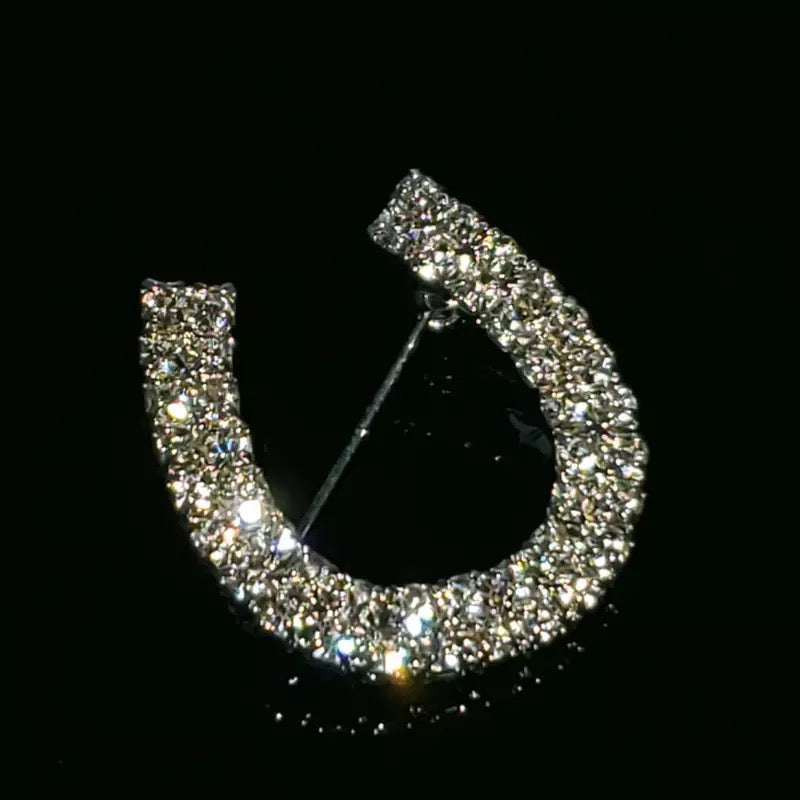 Lucky Horseshoe Silver Crystal Stock Pin