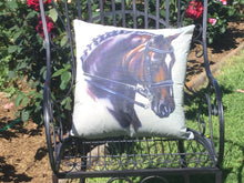 Bay Plaited Show Horse Cushion